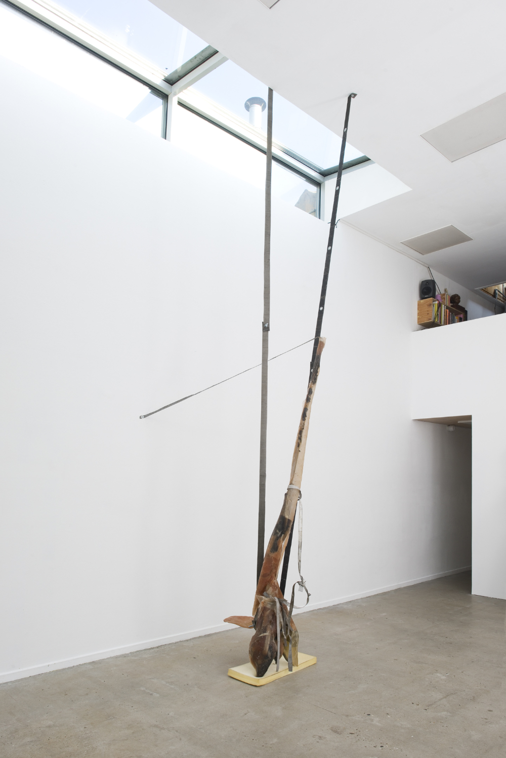 A contemporary gallery with skylights and concrete floor. A large sculpture is mounted on a small foam pillow on the floor and extends a single, thin branch to the ceiling where it is affixed.